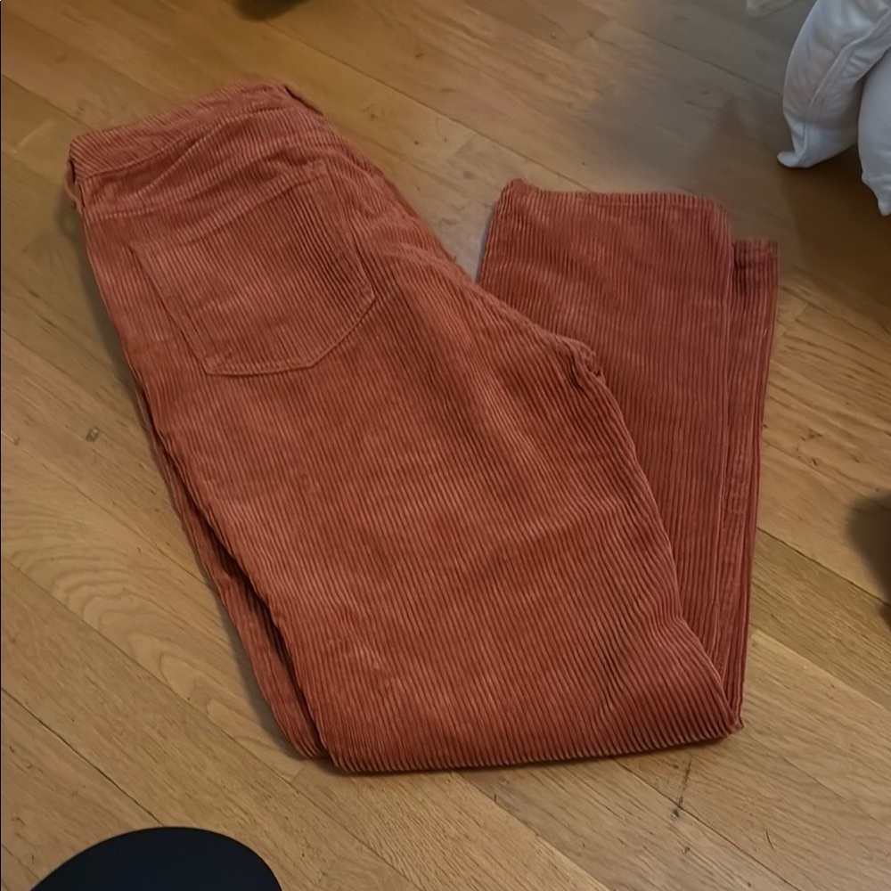 PacSun Terracotta Corduroy Pants